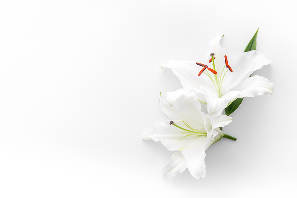 deuil-les-floralies